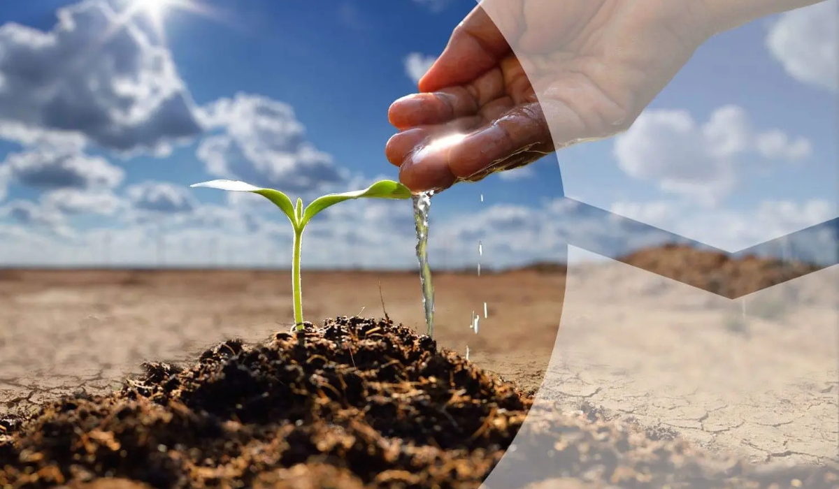 Untitled design (26)