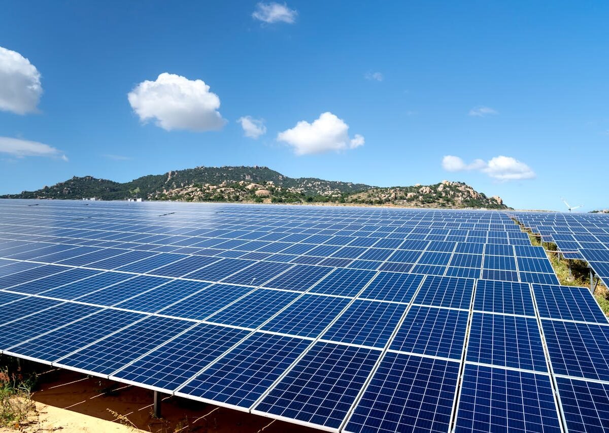 pexels-quang-nguyen-vinh-222549-6876536