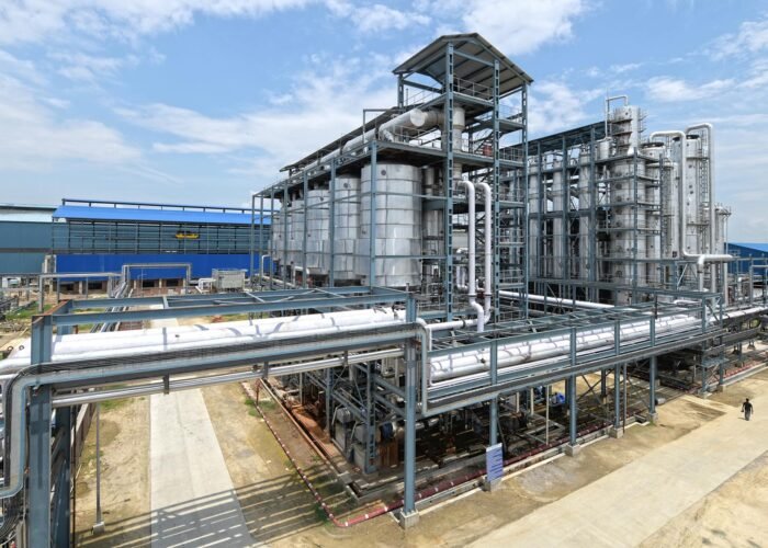 sugar-plant-banner7 sugar-plant-banner7